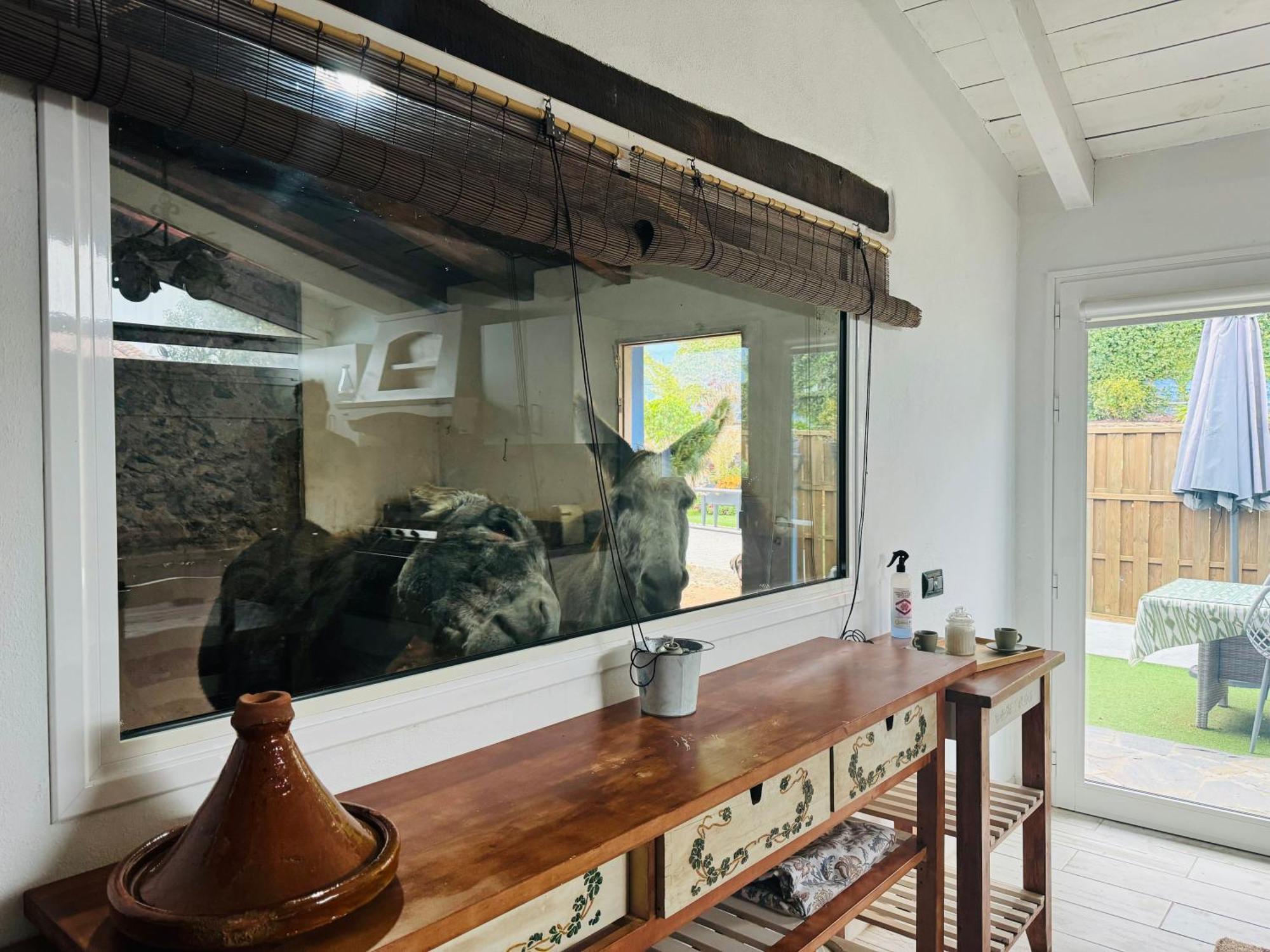 Casa Antigua Villa La Esperanza  Buitenkant foto